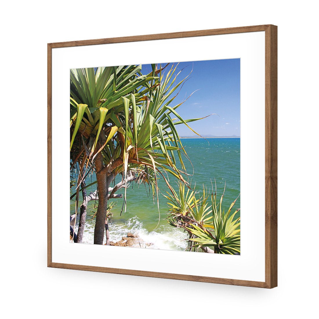 Pandanus Palms (square) - Wall Art Designs - 1152_AS_Q WAD_AP - 030 - MAT_37x37_S - 2538 - NAT