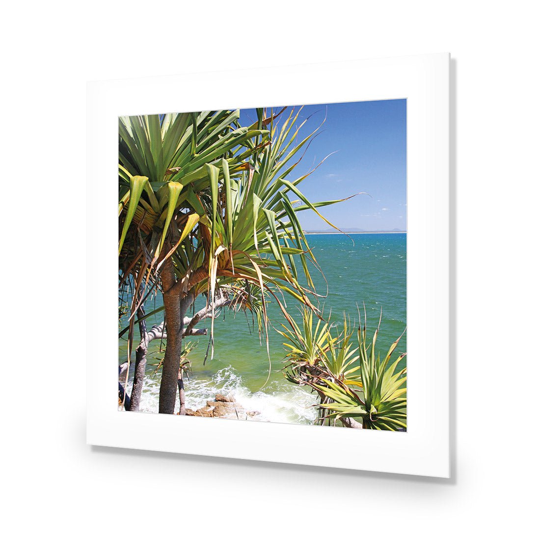 Pandanus Palms (square) - Wall Art Designs - 1152_AS_Q WAD_AP - 030 - MAT_37x37_NONE