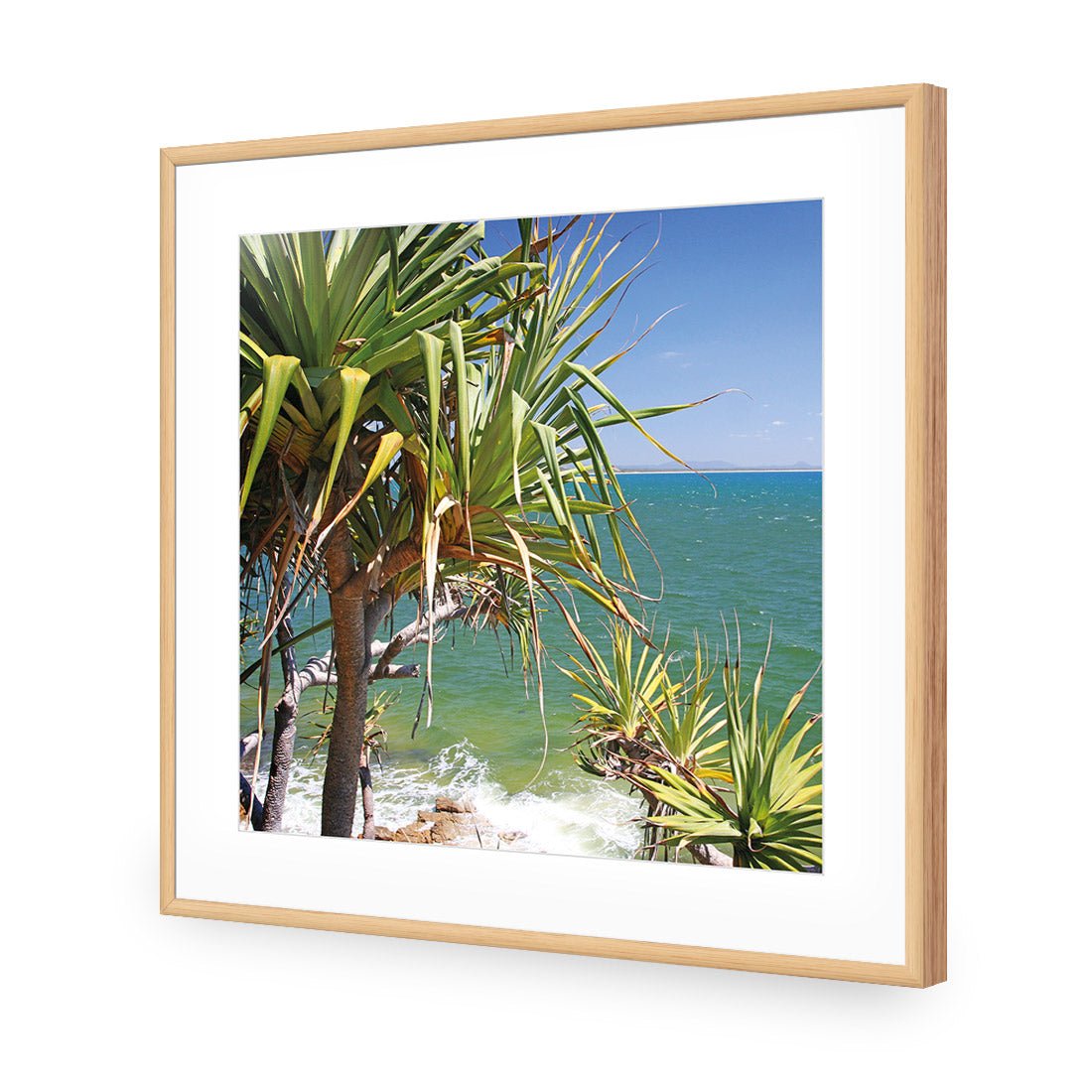 Pandanus Palms (square) - Wall Art Designs - 1152_AS_Q WAD_AP - 030 - MAT_37x37_S - 2538 - WHT