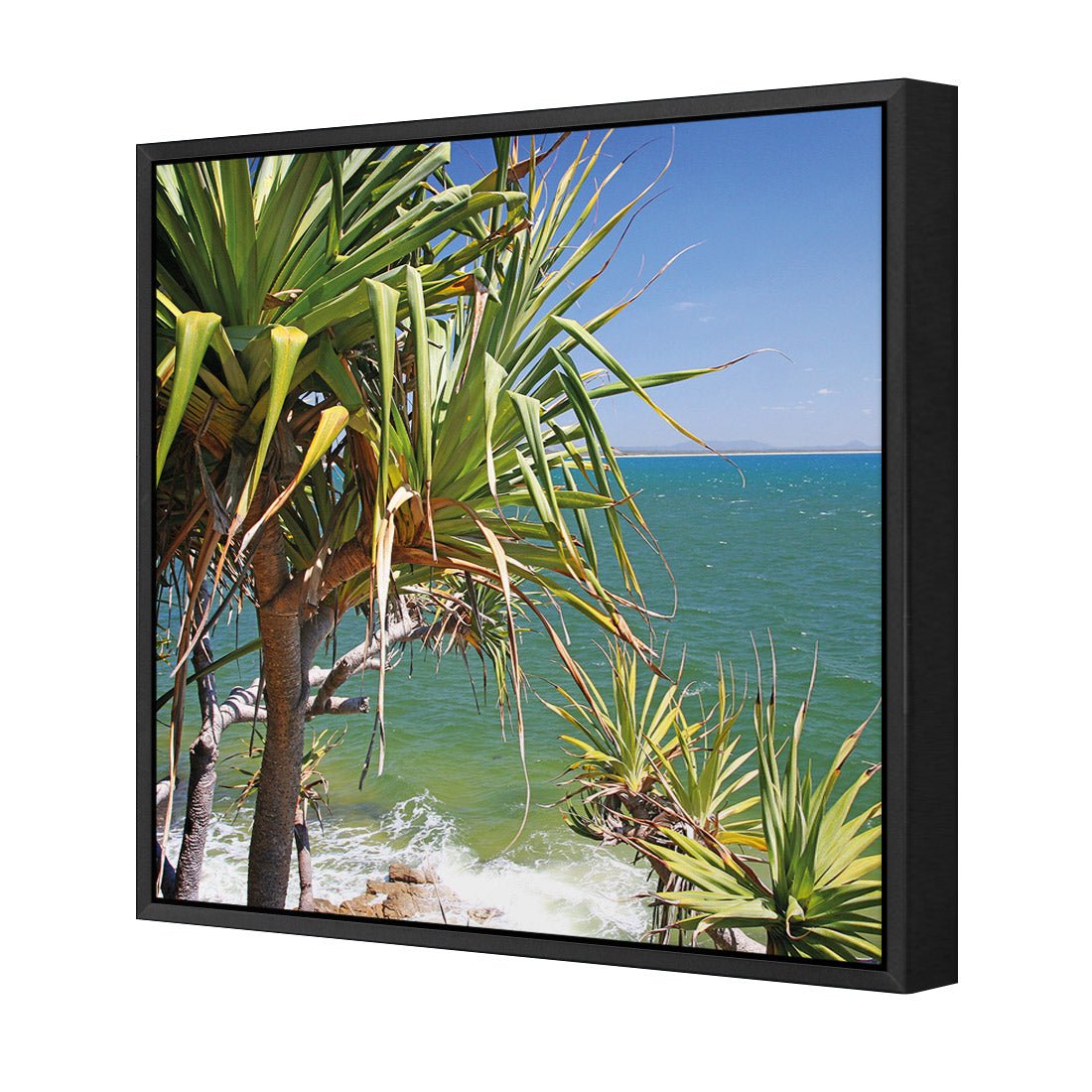 Pandanus Palms (square) - Wall Art Designs - 1152_AS_Q WAD_CP - MPY - 260 - M - S - S_37x37_S - 1550 - BLK