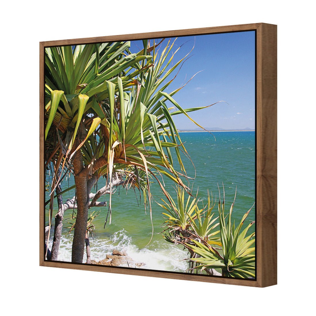 Pandanus Palms (square) - Wall Art Designs - 1152_AS_Q WAD_CP - MPY - 260 - M - S - S_37x37_S - 1550 - NAT