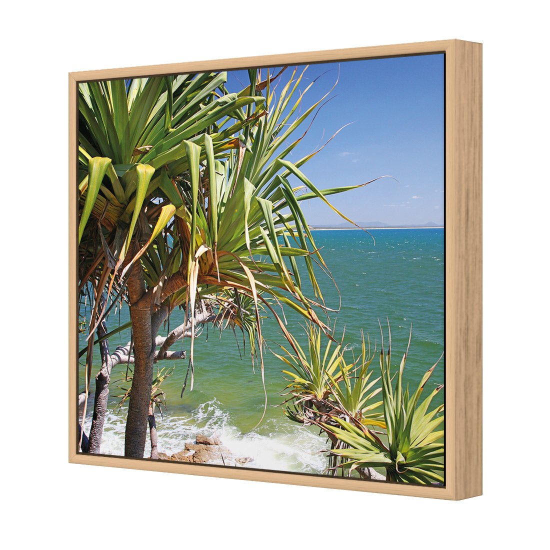 Pandanus Palms (square) - Wall Art Designs - 1152_AS_Q WAD_CP - MPY - 260 - M - S - S_37x37_S - 1550 - OAK