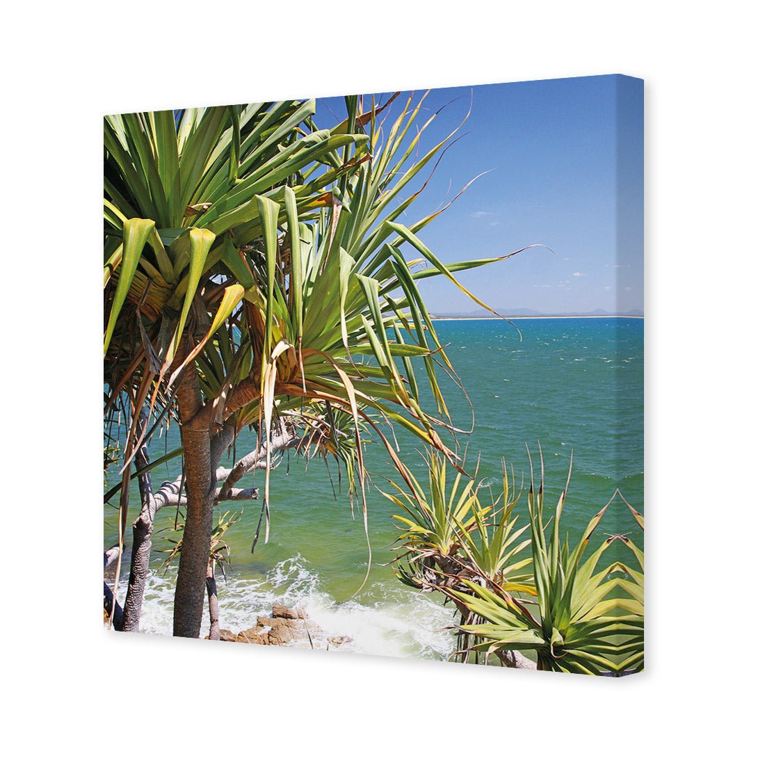 Pandanus Palms (square) - Wall Art Designs - 1152_AS_Q WAD_CP - MPY - 260 - M - S - S_37x37_NONE