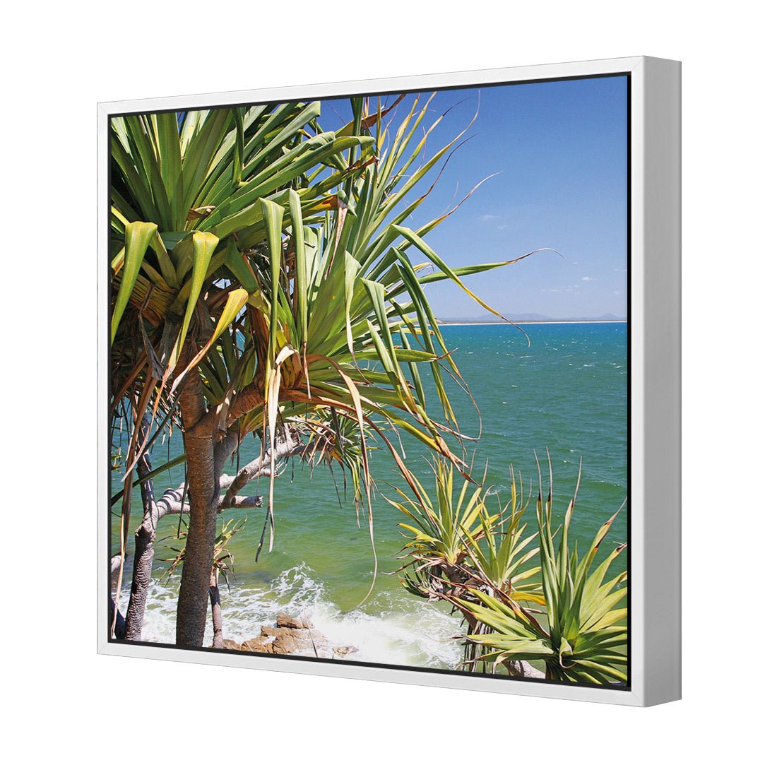 Pandanus Palms (square) - Wall Art Designs - 1152_AS_Q WAD_CP - MPY - 260 - M - S - S_37x37_S - 1550 - WHT