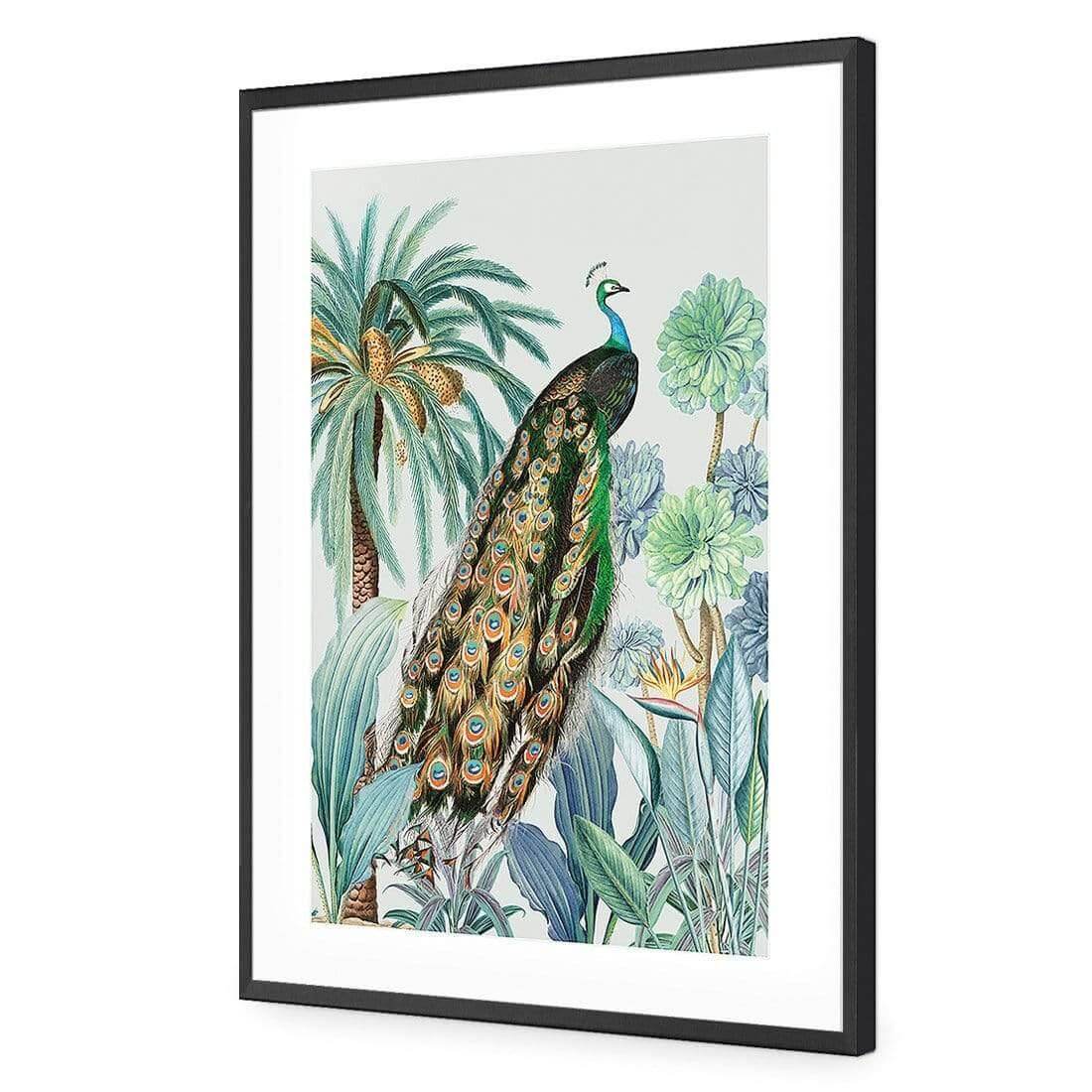 Peacock Bliss - Wall Art Designs - AU_1231_AR_V WAD_AP - 030 - MAT_45x30_S - 2538 - BLK