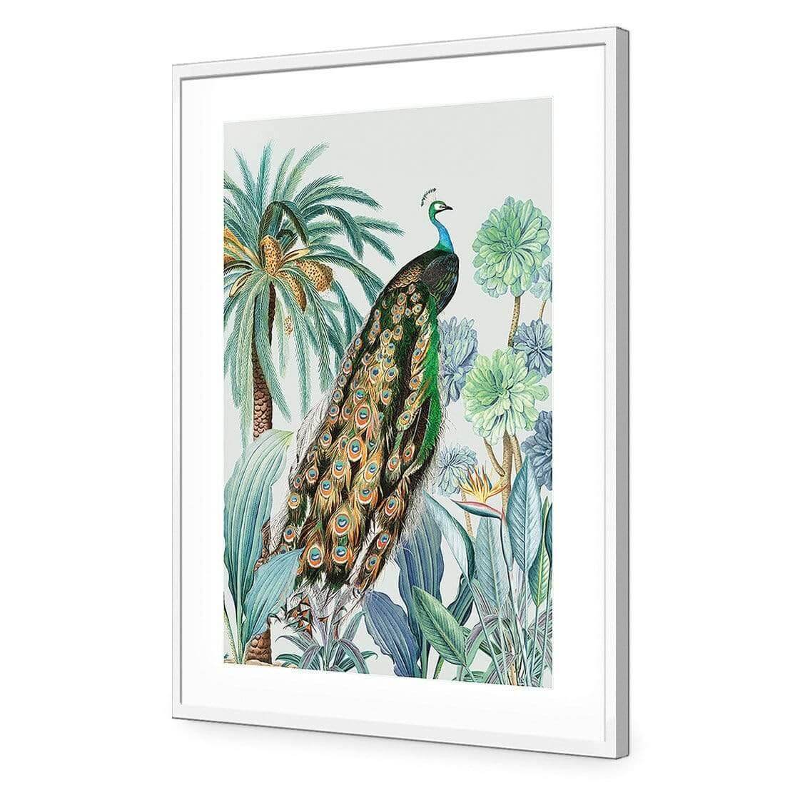 Peacock Bliss - Wall Art Designs - AU_1231_AR_V WAD_AP - 030 - MAT_45x30_S - 2538 - WHT