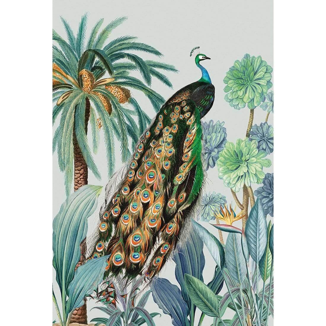 Peacock Bliss - Wall Art Designs - AU_1231_AR_V WAD_CP - MPY - 260 - M - S - S_45x30_NONE