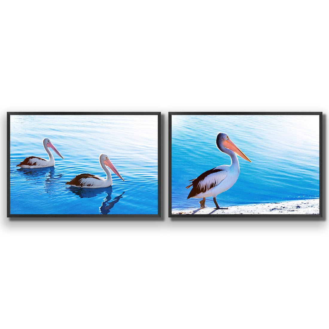 Pelican Perfect Pair - Wall Art Designs - SET2_5023_AR_H WAD_AP - 030 - EDG_45x30_S - 2538 - BLK