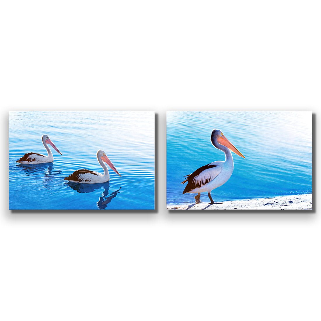 Pelican Perfect Pair - Wall Art Designs - SET2_5023_AR_H WAD_AP - 030 - EDG_45x30_NONE