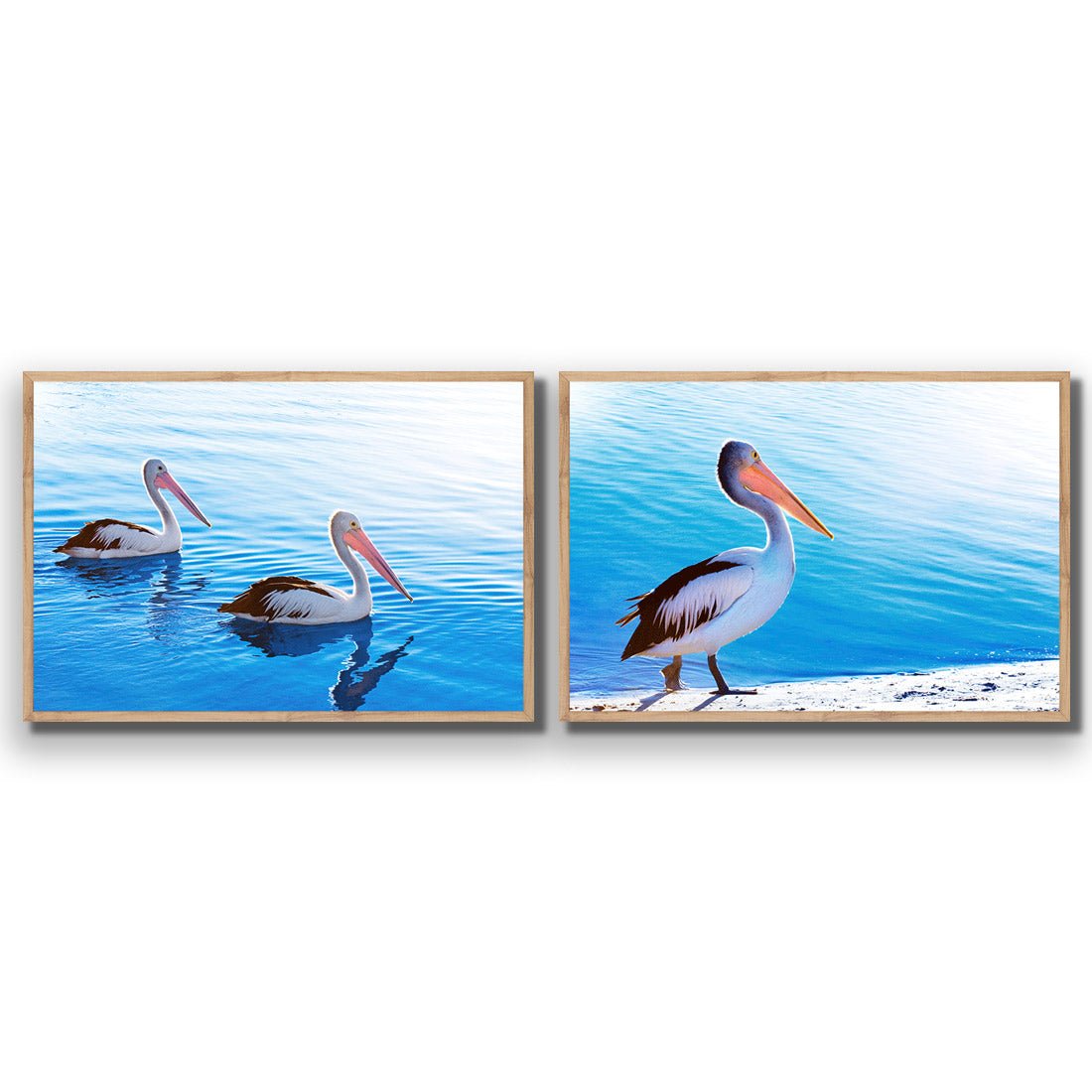 Pelican Perfect Pair - Wall Art Designs - SET2_5023_AR_H WAD_AP - 030 - EDG_45x30_S - 2538 - OAK