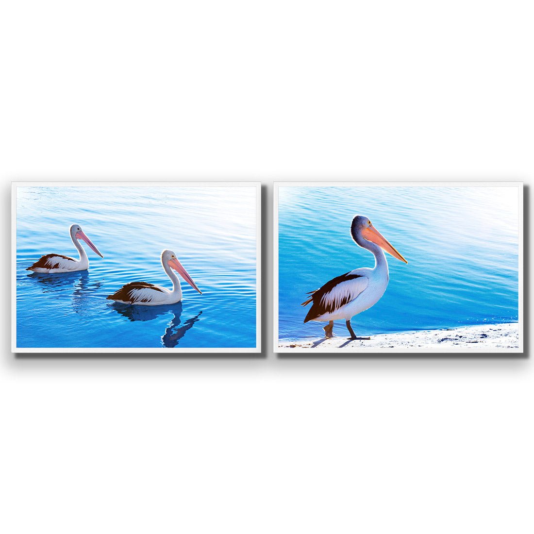 Pelican Perfect Pair - Wall Art Designs - SET2_5023_AR_H WAD_AP - 030 - EDG_45x30_S - 2538 - WHT