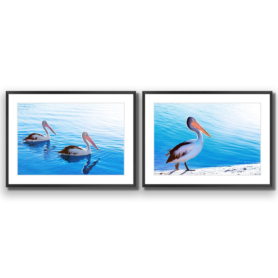 Pelican Perfect Pair - Wall Art Designs - SET2_5023_AR_H WAD_AP - 030 - MAT_45x30_S - 2538 - BLK