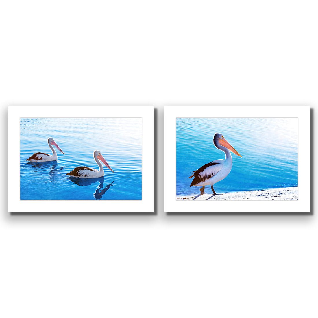 Pelican Perfect Pair - Wall Art Designs - SET2_5023_AR_H WAD_AP - 030 - MAT_45x30_NONE