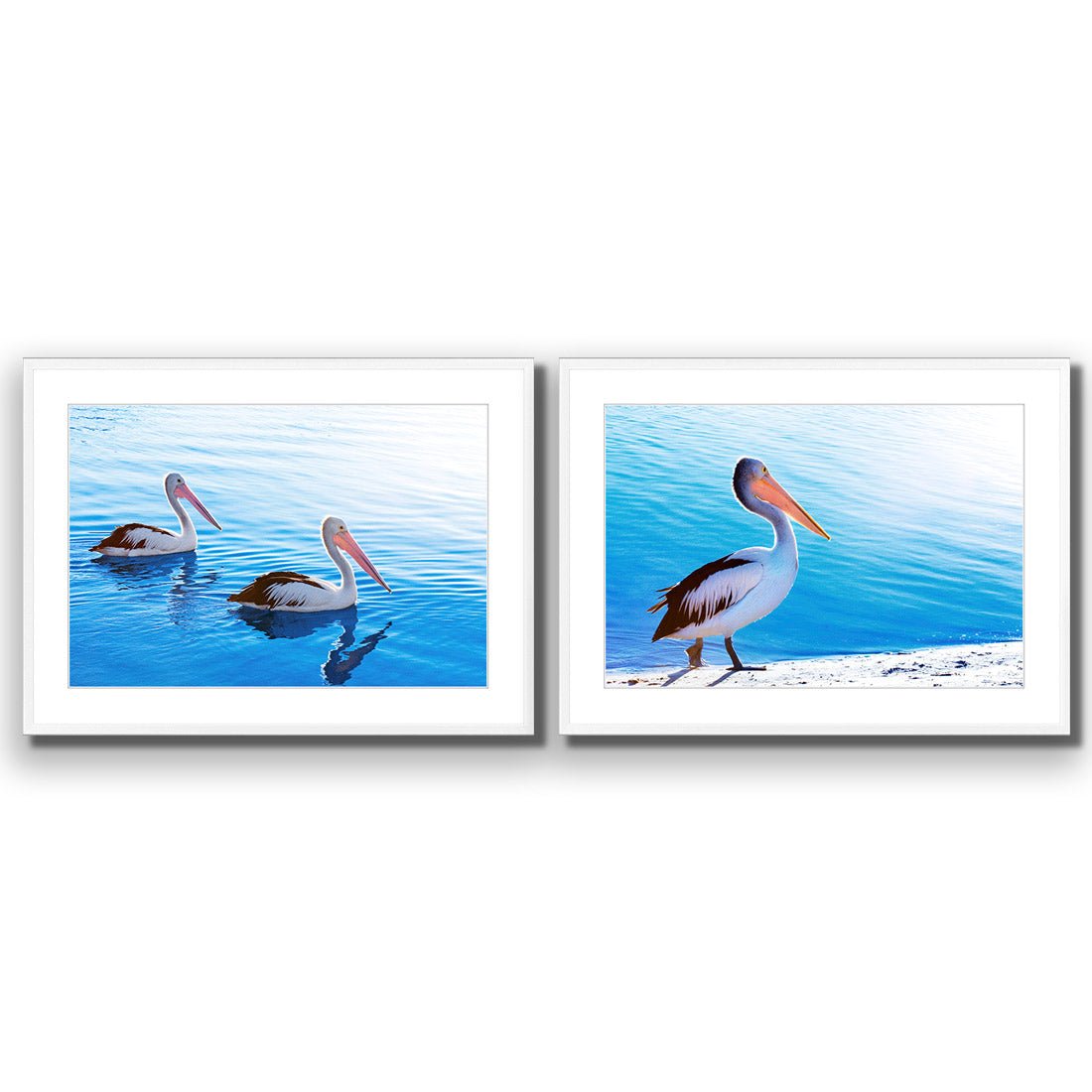 Pelican Perfect Pair - Wall Art Designs - SET2_5023_AR_H WAD_AP - 030 - MAT_45x30_S - 2538 - WHT