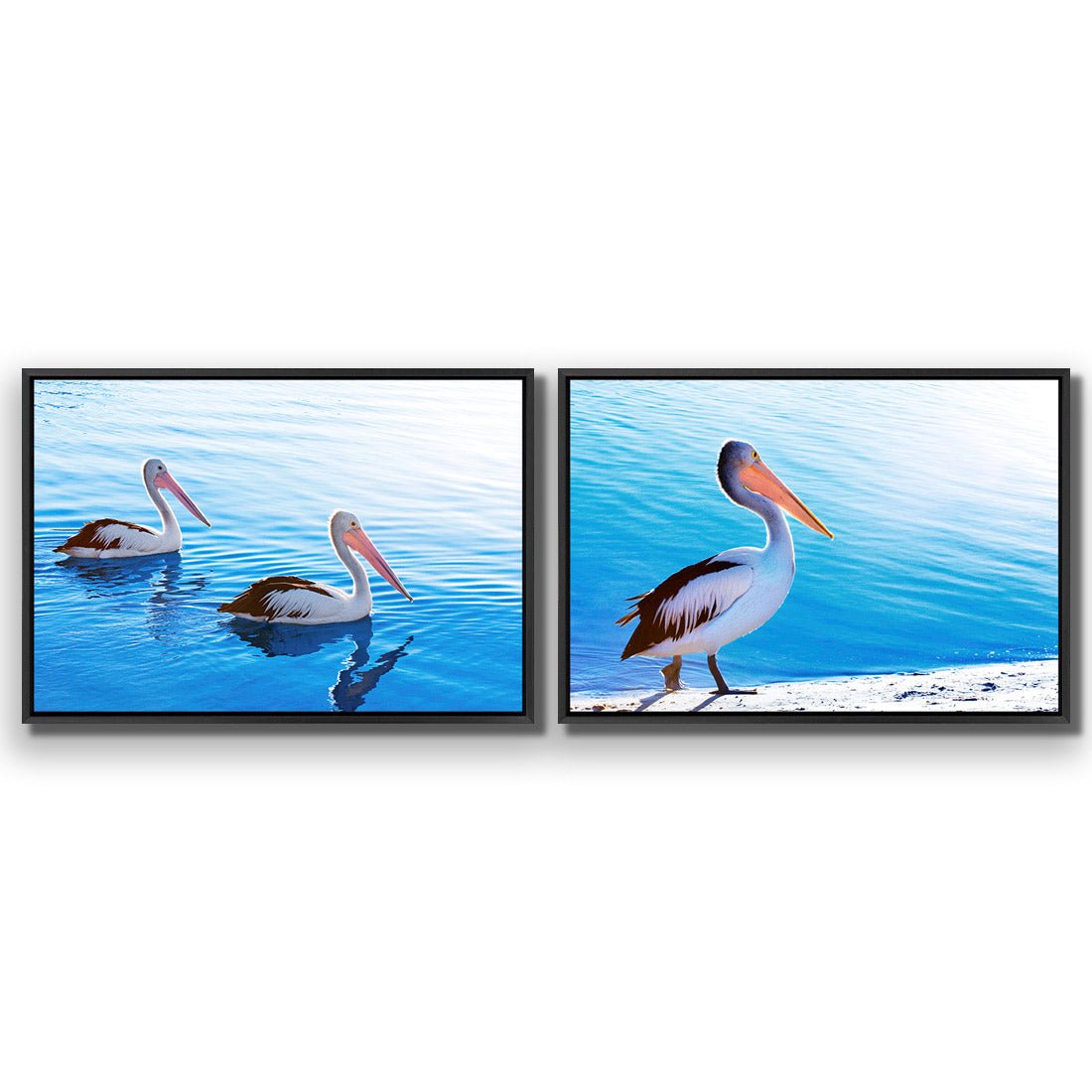 Pelican Perfect Pair - Wall Art Designs - SET2_5023_AR_H WAD_CP - MPY - 260 - M - S - S_45x30_S - 1550 - BLK