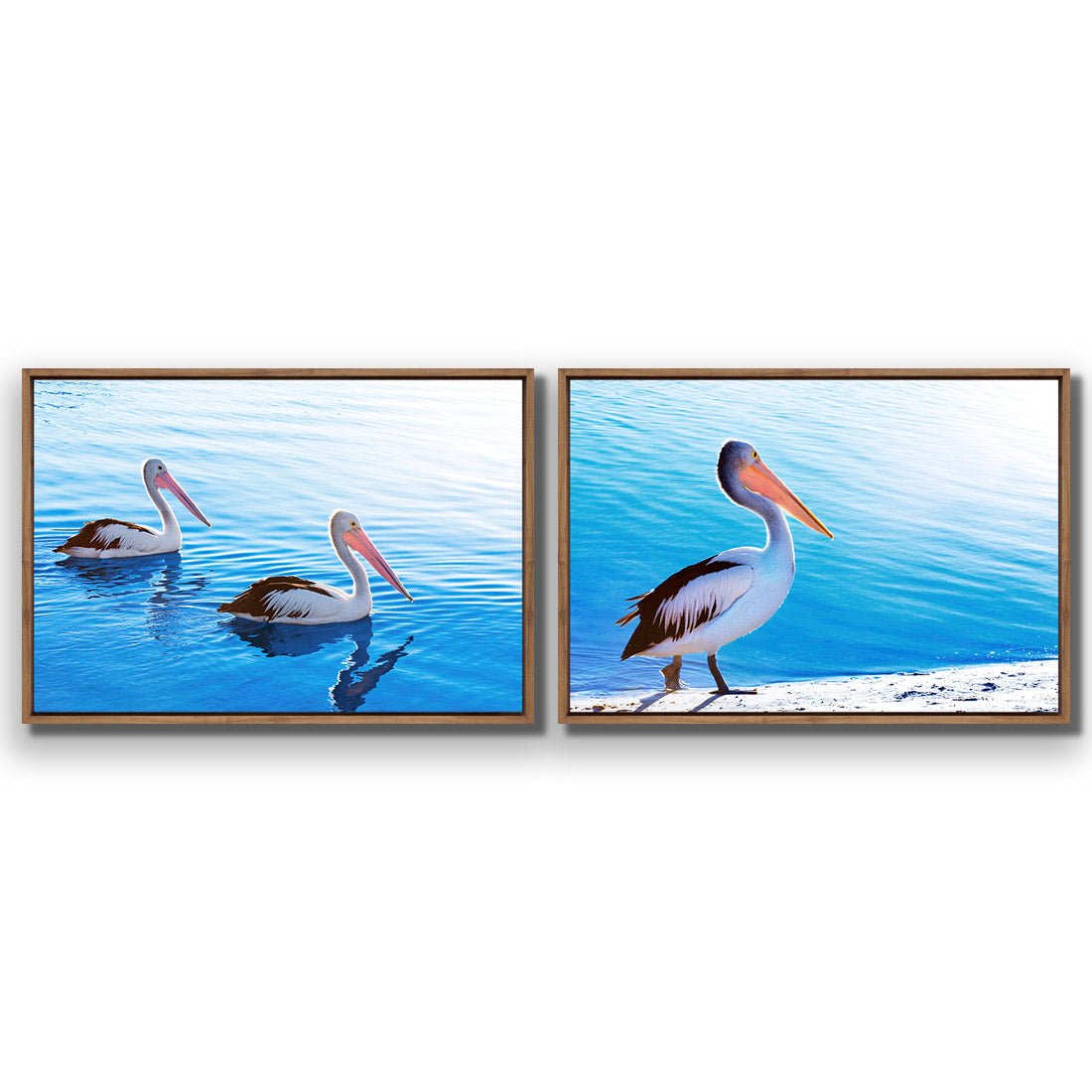 Pelican Perfect Pair - Wall Art Designs - SET2_5023_AR_H WAD_CP - MPY - 260 - M - S - S_45x30_S - 1550 - NAT