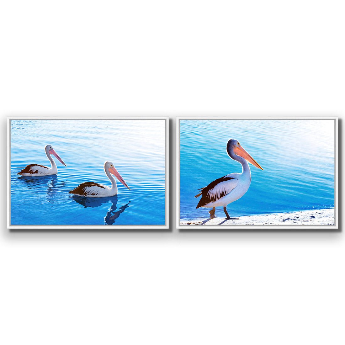 Pelican Perfect Pair - Wall Art Designs - SET2_5023_AR_H WAD_CP - MPY - 260 - M - S - S_45x30_S - 1550 - WHT