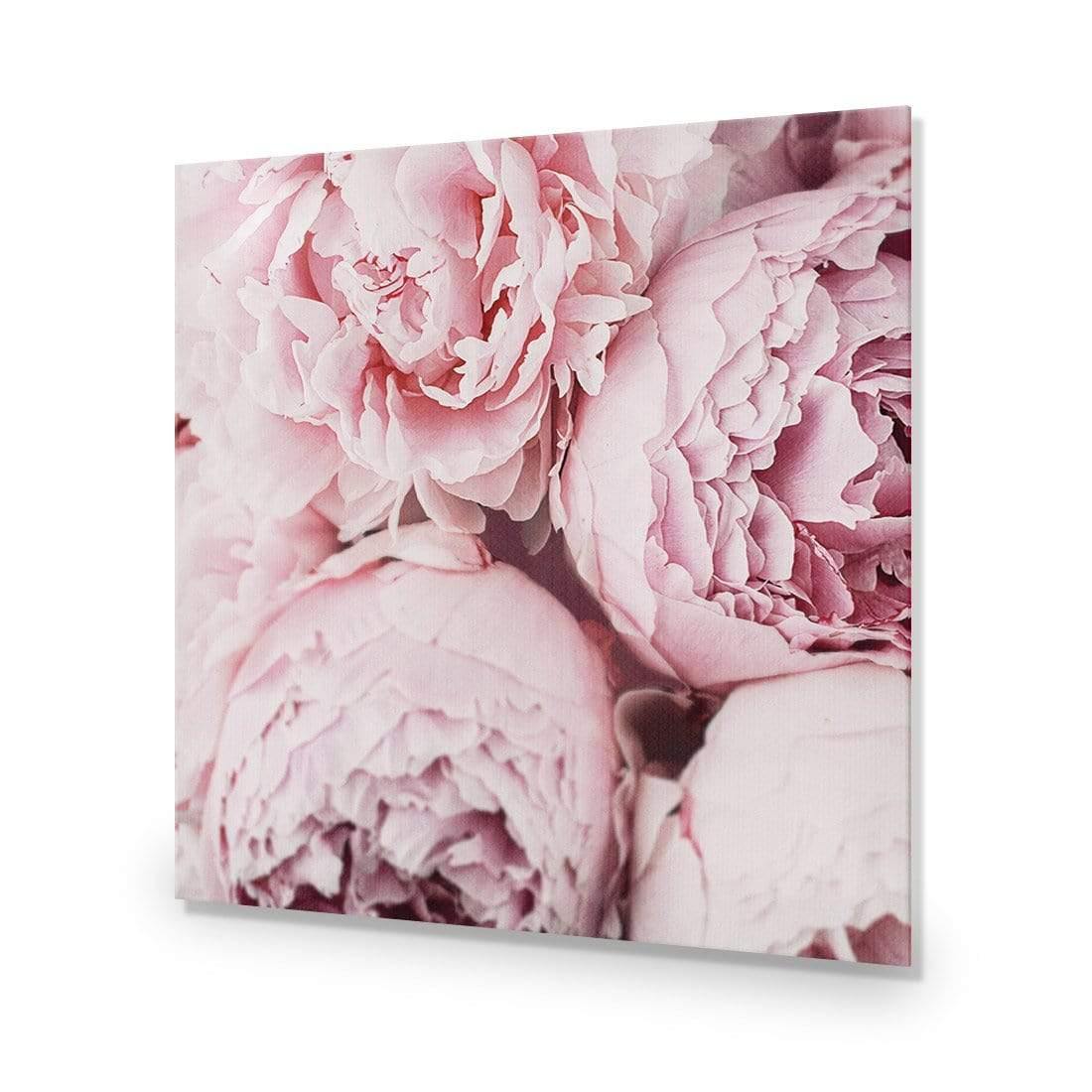 Peony Perfection III - Wall Art Designs - 3767_AS_Q WAD_AP - 030 - EDG_37x37_NONE