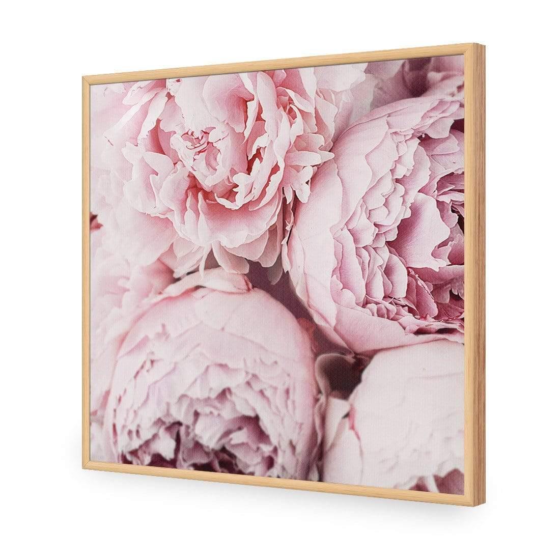 Peony Perfection III - Wall Art Designs - 3767_AS_Q WAD_AP - 030 - EDG_37x37_S - 2538 - OAK