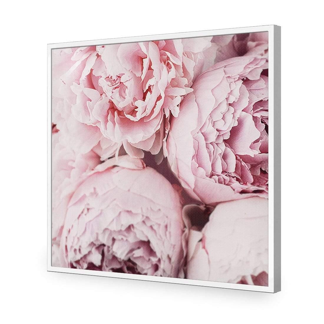 Peony Perfection III - Wall Art Designs - 3767_AS_Q WAD_AP - 030 - EDG_37x37_S - 2538 - WHT