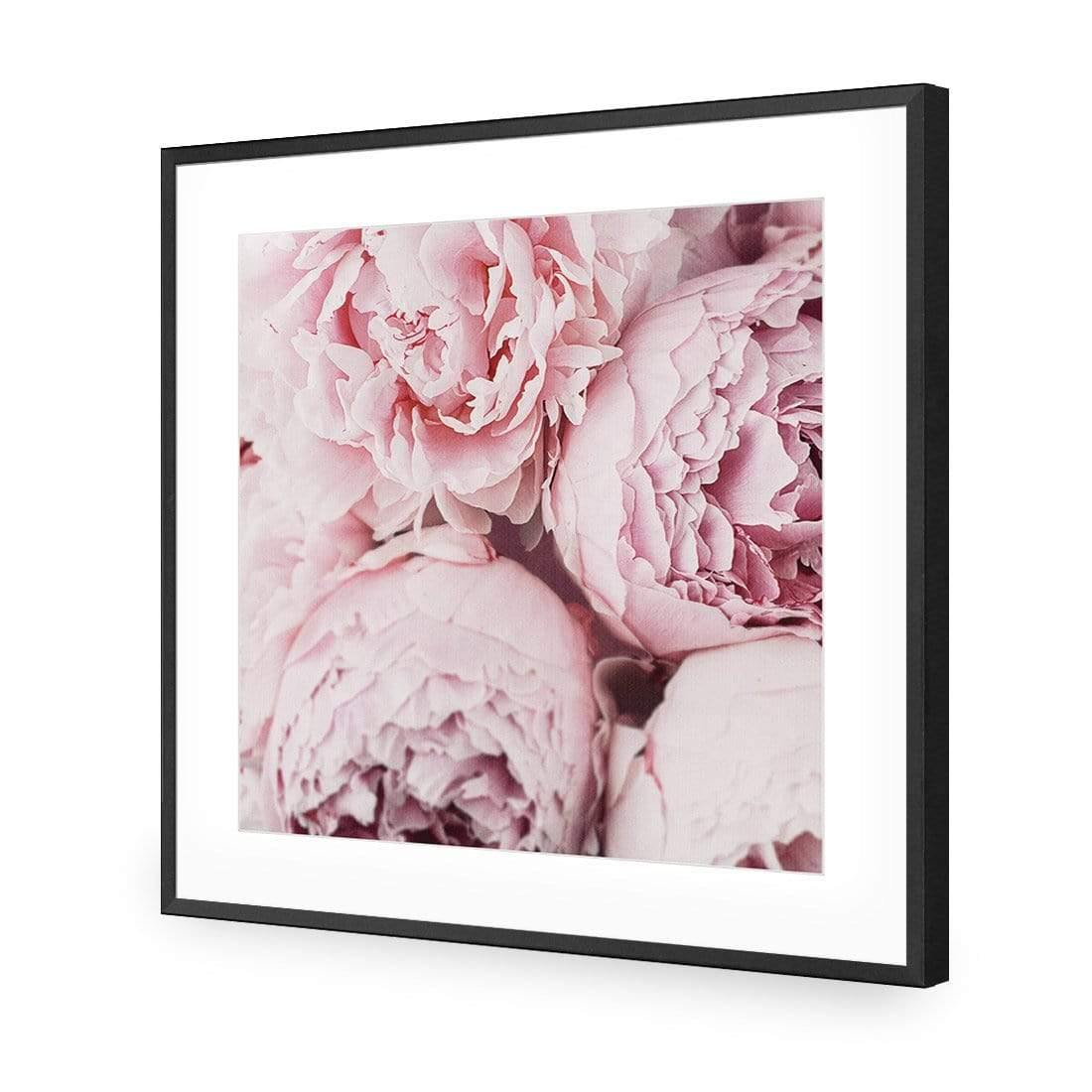 Peony Perfection III - Wall Art Designs - 3767_AS_Q WAD_AP - 030 - MAT_37x37_S - 2538 - BLK