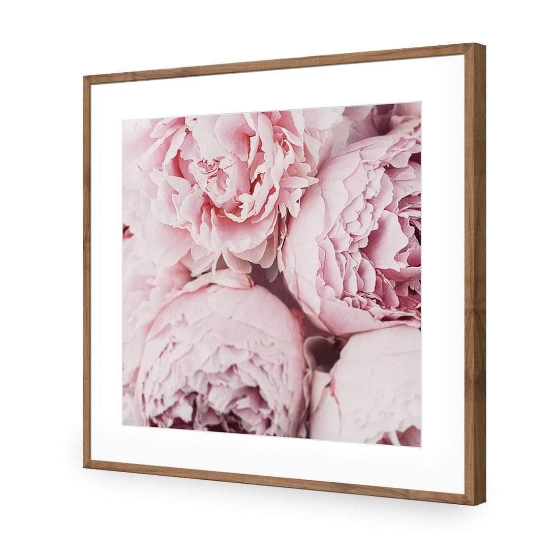 Peony Perfection III - Wall Art Designs - 3767_AS_Q WAD_AP - 030 - MAT_37x37_S - 2538 - NAT