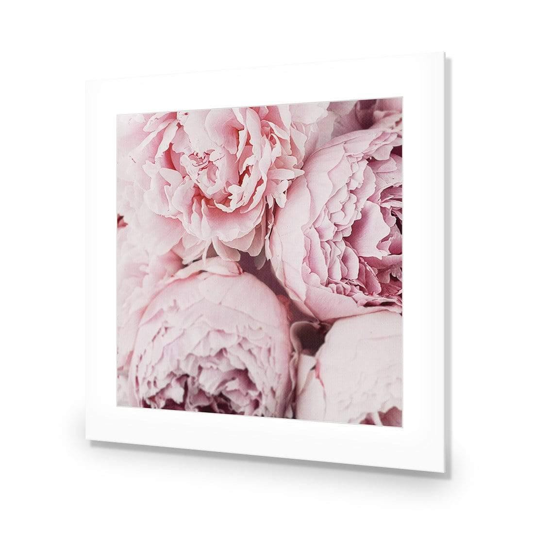 Peony Perfection III - Wall Art Designs - 3767_AS_Q WAD_AP - 030 - MAT_37x37_NONE