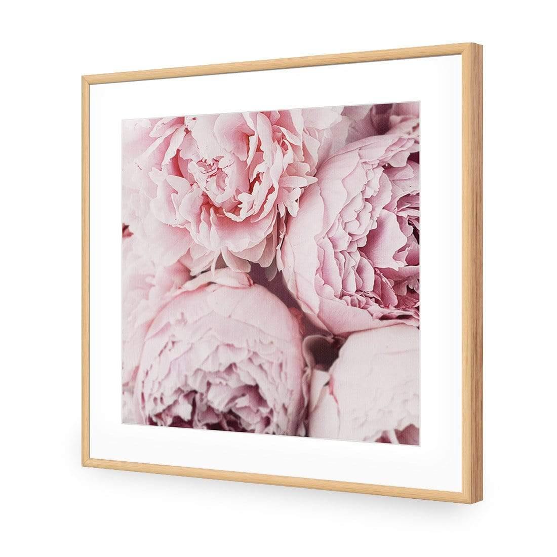 Peony Perfection III - Wall Art Designs - 3767_AS_Q WAD_AP - 030 - MAT_37x37_S - 2538 - OAK