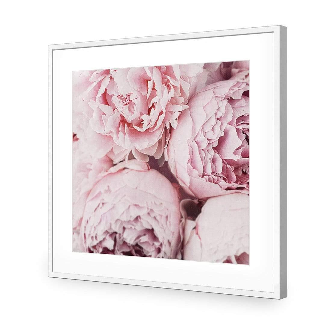 Peony Perfection III - Wall Art Designs - 3767_AS_Q WAD_AP - 030 - MAT_37x37_S - 2538 - WHT