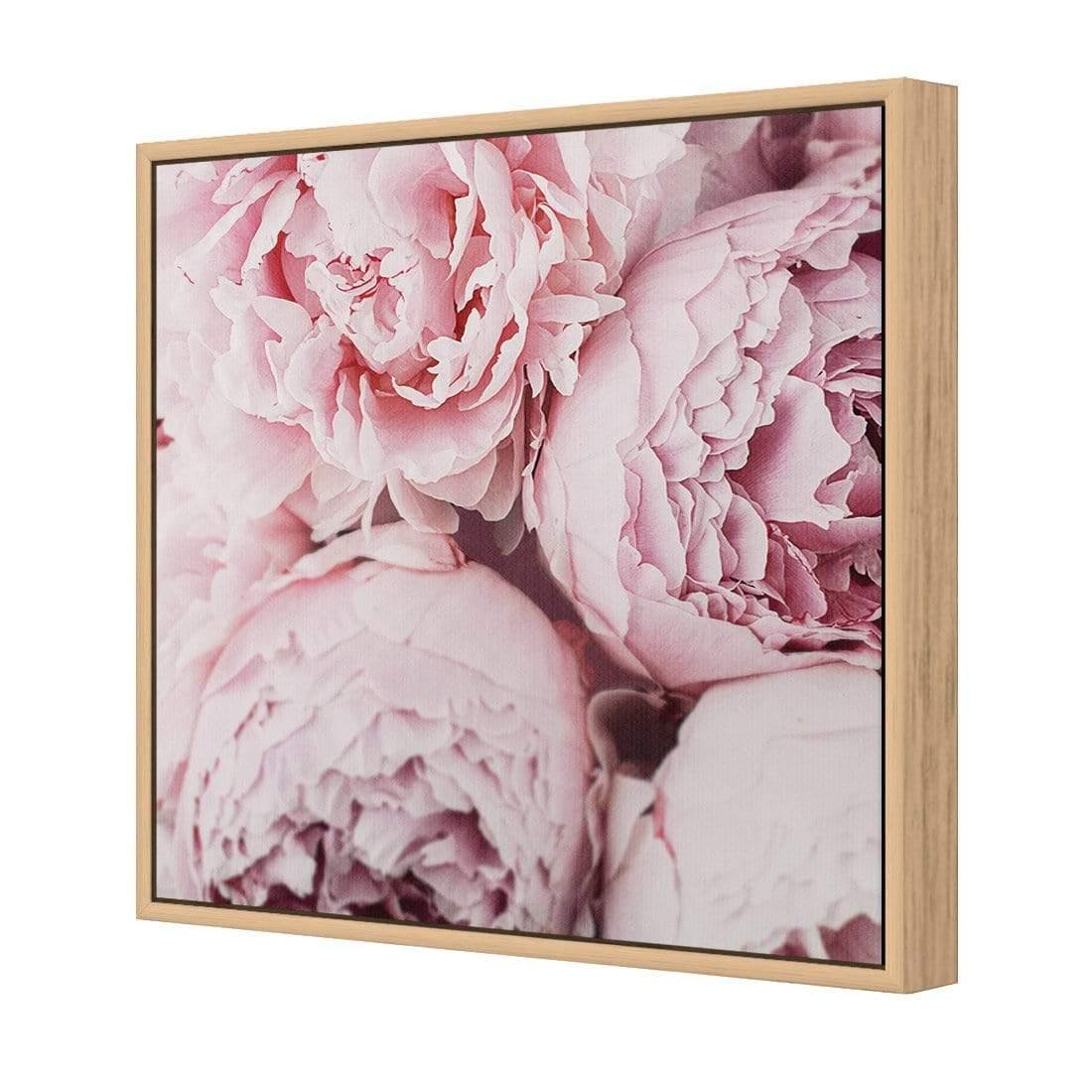 Peony Perfection III - Wall Art Designs - 3767_AS_Q WAD_CP - MPY - 260 - M - S - S_37x37_S - 1550 - OAK