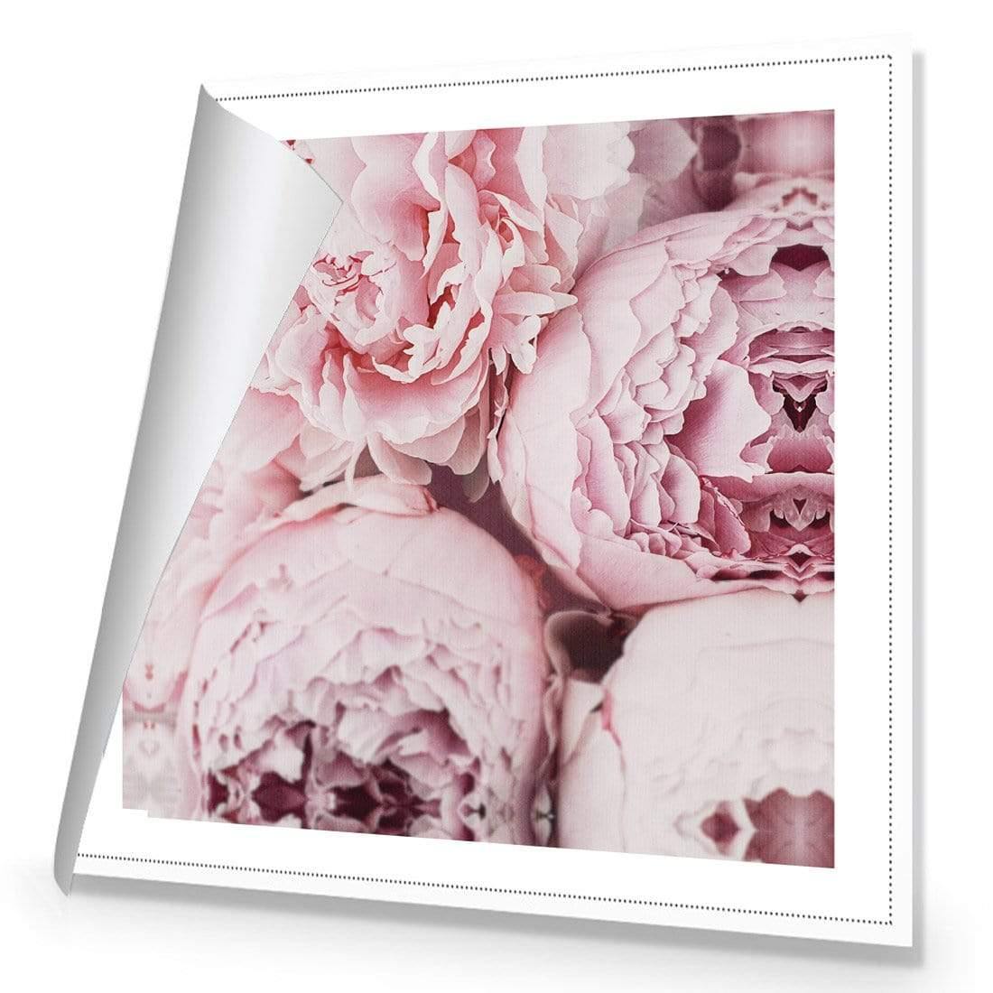 Peony Perfection III - Wall Art Designs - 3767_AS_Q WAD_CP - MPY - 260 - M - R_37x37_NONE