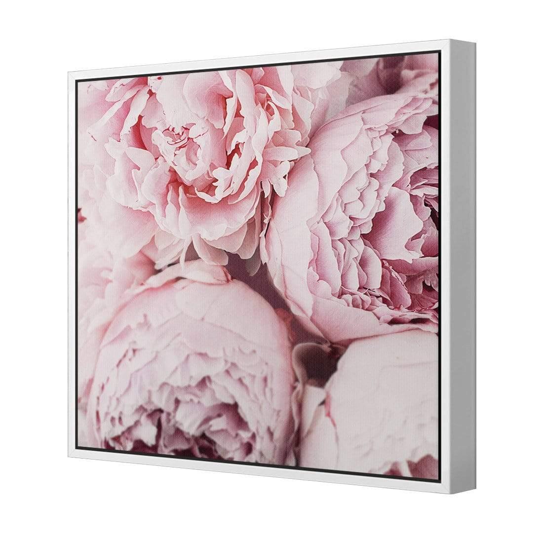 Peony Perfection III - Wall Art Designs - 3767_AS_Q WAD_CP - MPY - 260 - M - S - S_37x37_S - 1550 - WHT