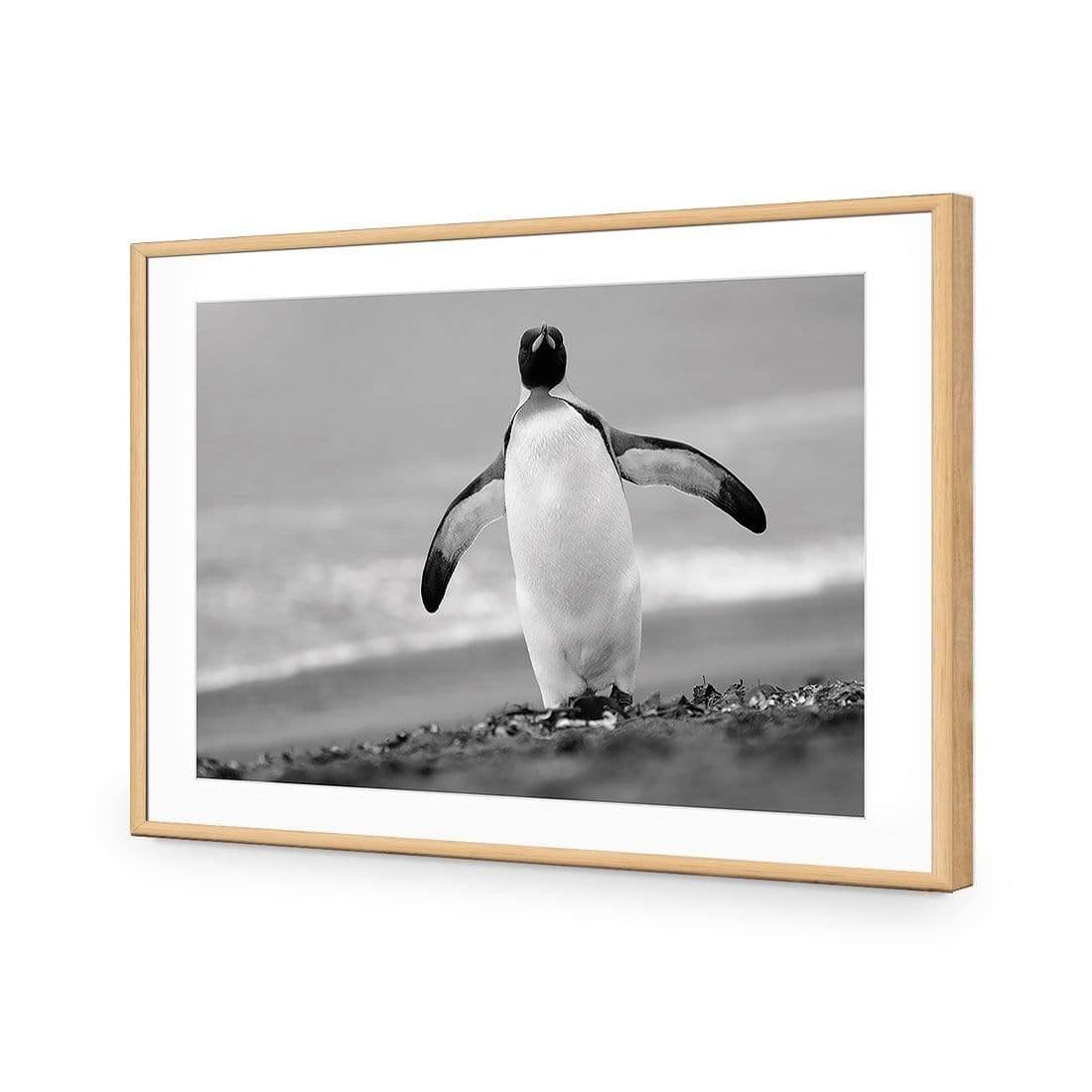 Phil the Penguin - Wall Art Designs - 3088_AR_H WAD_CP - MPY - 260 - M - S - S_45x30_NONE