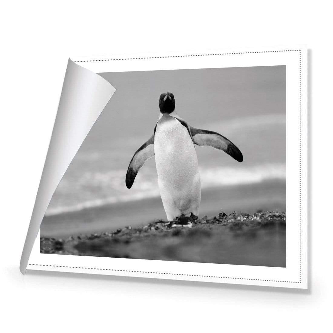 Phil the Penguin - Wall Art Designs - 3088_AR_H WAD_CP - MPY - 260 - M - S - S_45x30_NONE