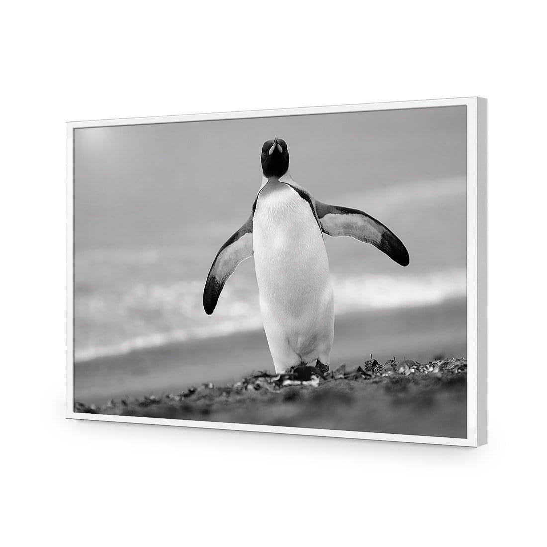 Phil the Penguin - Wall Art Designs - 3088_AR_H WAD_CP - MPY - 260 - M - S - S_45x30_NONE