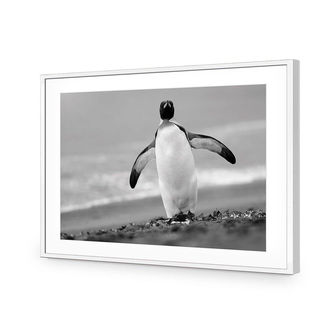 Phil the Penguin - Wall Art Designs - 3088_AR_H WAD_CP - MPY - 260 - M - S - S_45x30_NONE