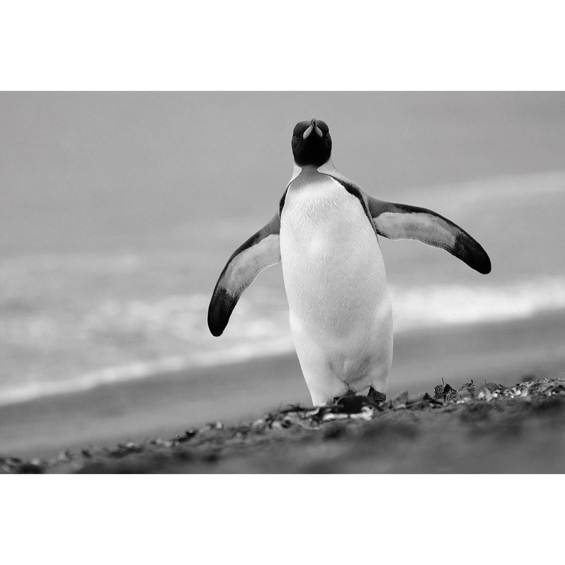 Phil the Penguin - Wall Art Designs - 3088_AR_H WAD_CP - MPY - 260 - M - S - S_45x30_NONE