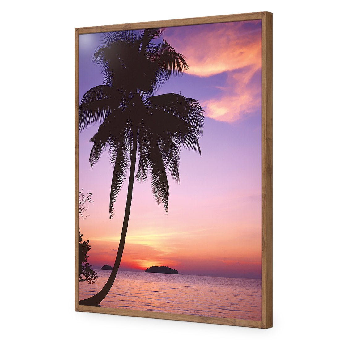 Phuket Palm - Wall Art Designs - 605_AR_V WAD_CP - MPY - 260 - M - S - S_45x30_NONE