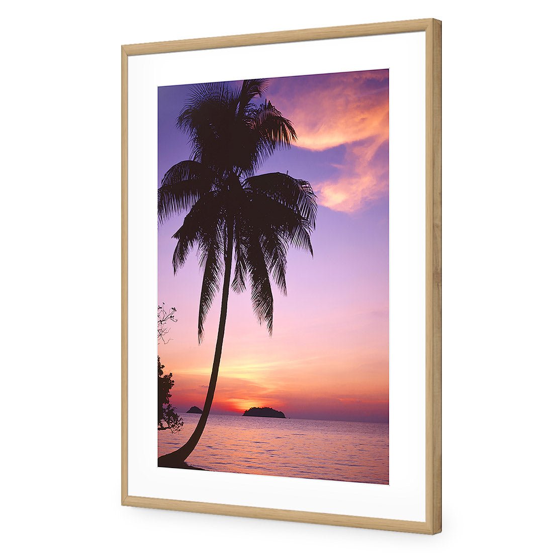 Phuket Palm - Wall Art Designs - 605_AR_V WAD_CP - MPY - 260 - M - S - S_45x30_NONE