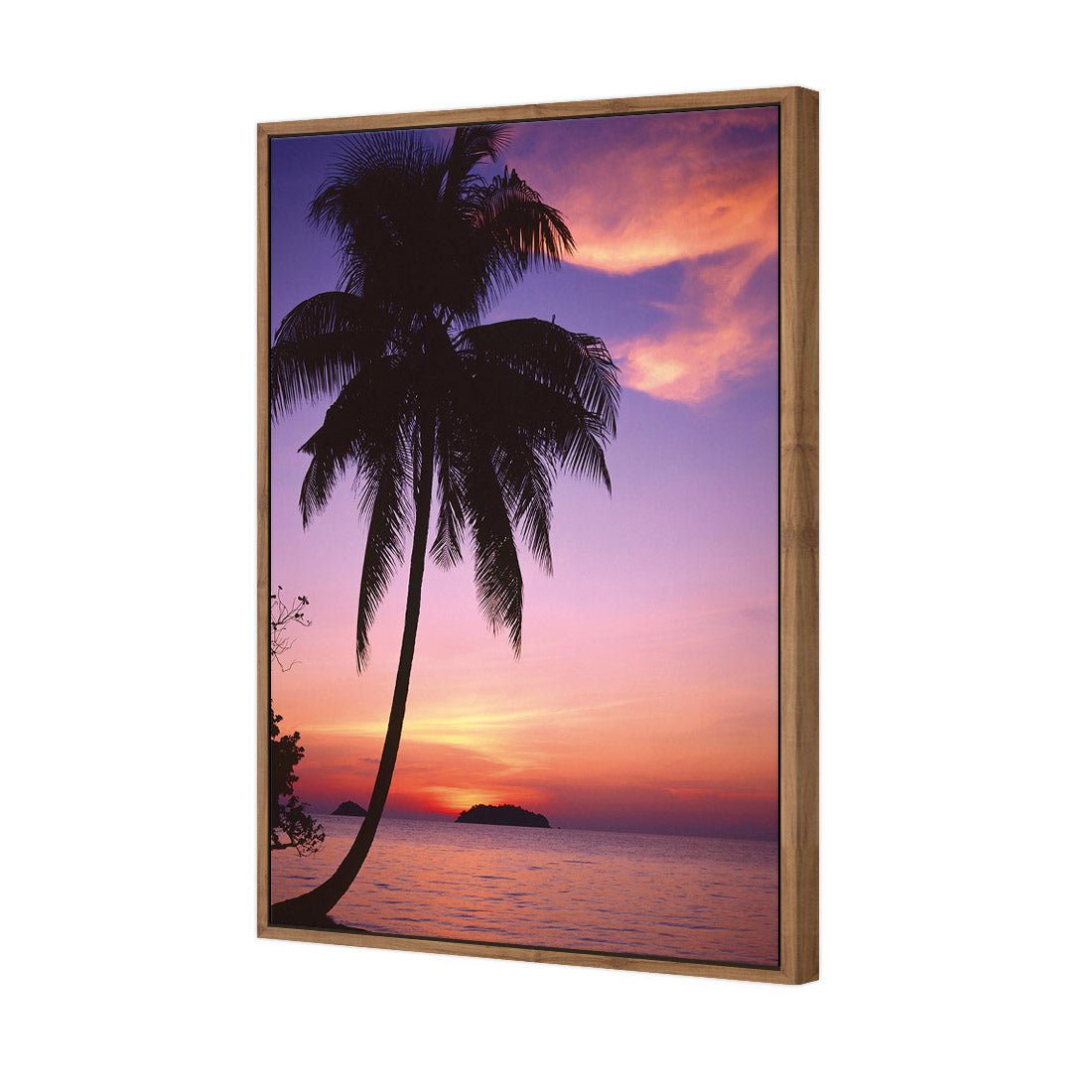 Phuket Palm - Wall Art Designs - 605_AR_V WAD_CP - MPY - 260 - M - S - S_45x30_NONE