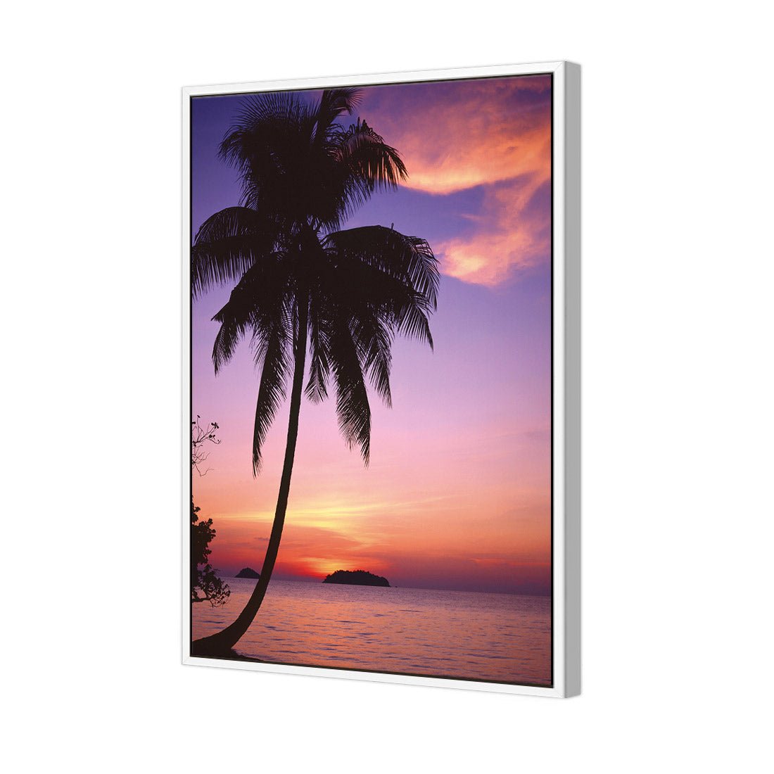 Phuket Palm - Wall Art Designs - 605_AR_V WAD_CP - MPY - 260 - M - S - S_45x30_NONE