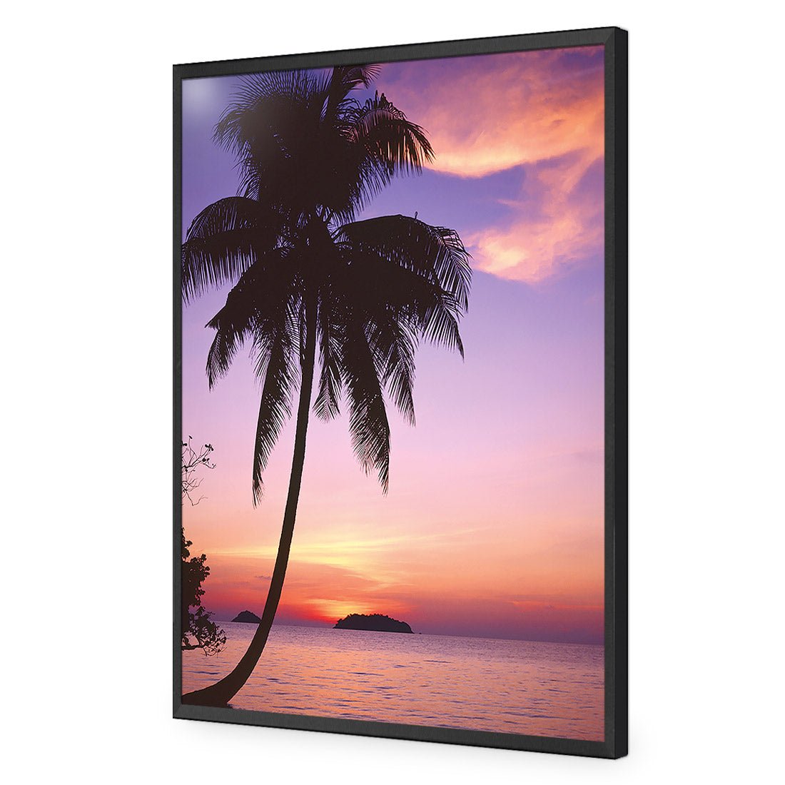 Phuket Palm - Wall Art Designs - 605_AR_V WAD_CP - MPY - 260 - M - S - S_45x30_NONE