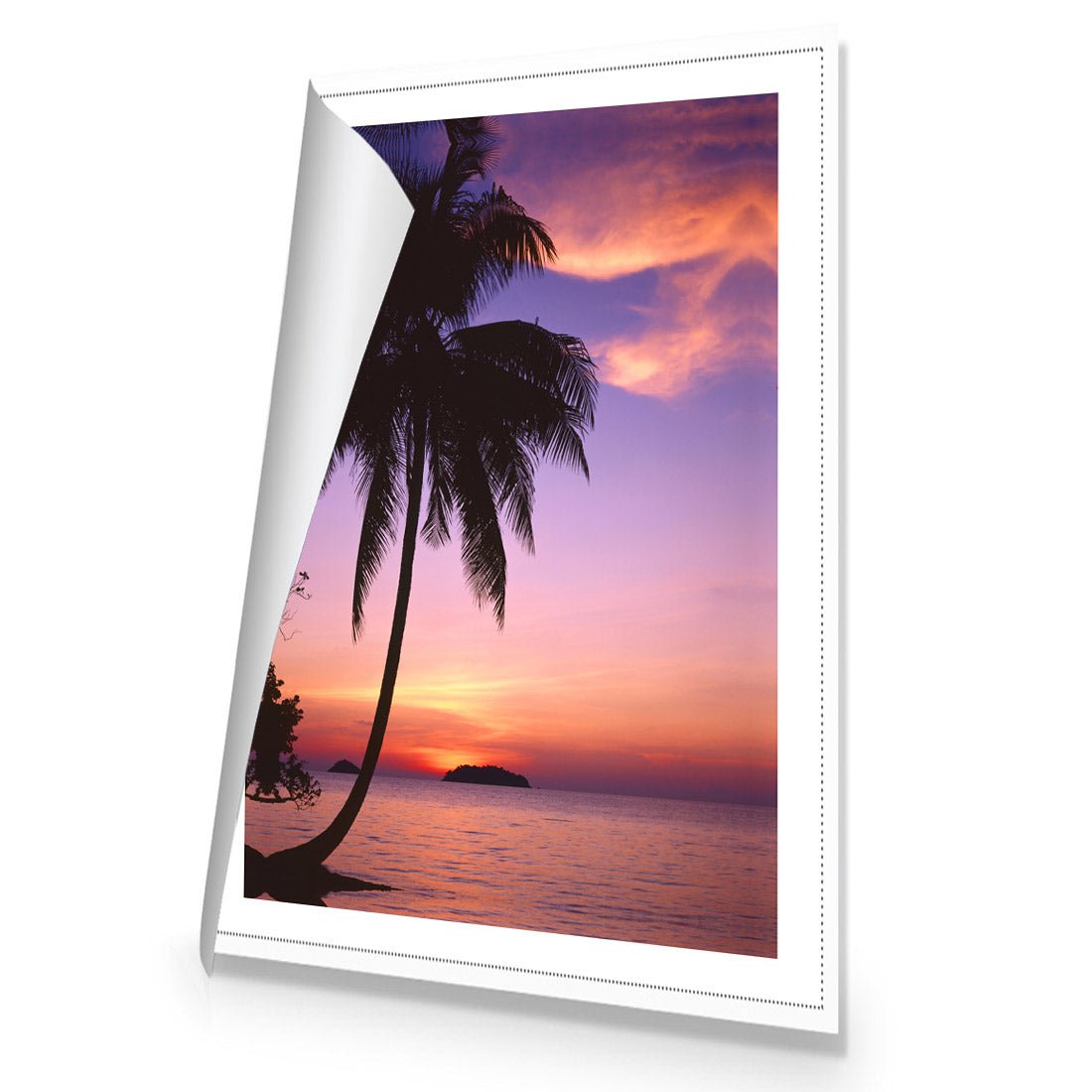 Phuket Palm - Wall Art Designs - 605_AR_V WAD_CP - MPY - 260 - M - S - S_45x30_NONE