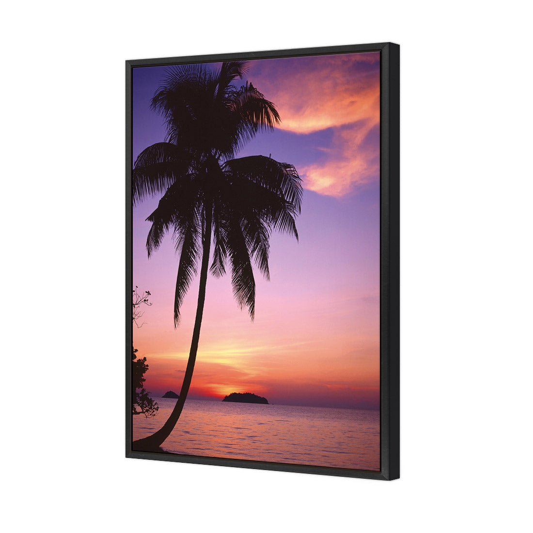 Phuket Palm - Wall Art Designs - 605_AR_V WAD_CP - MPY - 260 - M - S - S_45x30_NONE