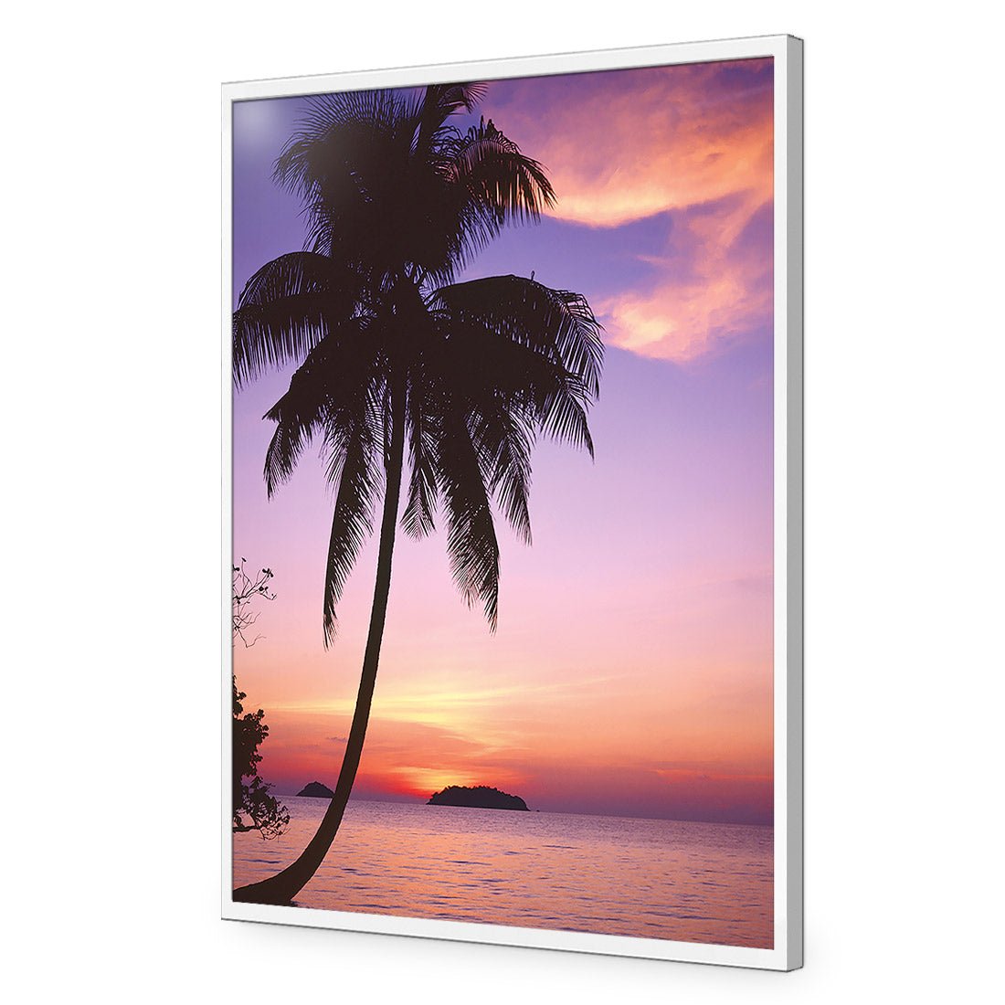 Phuket Palm - Wall Art Designs - 605_AR_V WAD_CP - MPY - 260 - M - S - S_45x30_NONE