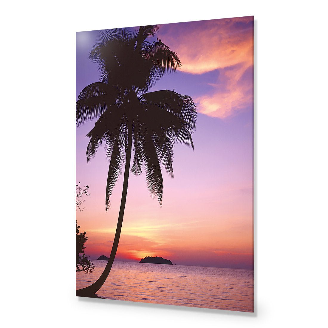 Phuket Palm - Wall Art Designs - 605_AR_V WAD_CP - MPY - 260 - M - S - S_45x30_NONE