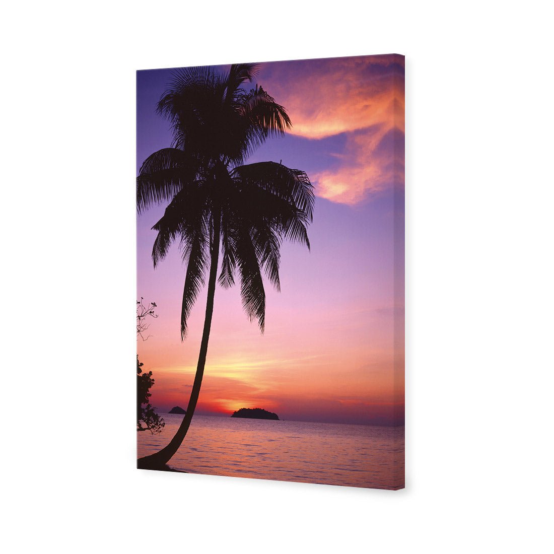 Phuket Palm - Wall Art Designs - 605_AR_V WAD_CP - MPY - 260 - M - S - S_45x30_NONE