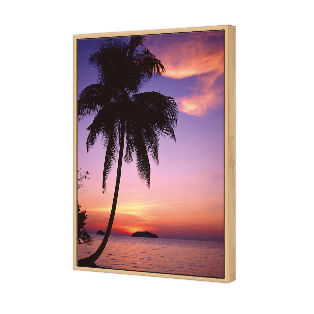 Phuket Palm - Wall Art Designs - 605_AR_V WAD_CP - MPY - 260 - M - S - S_45x30_NONE