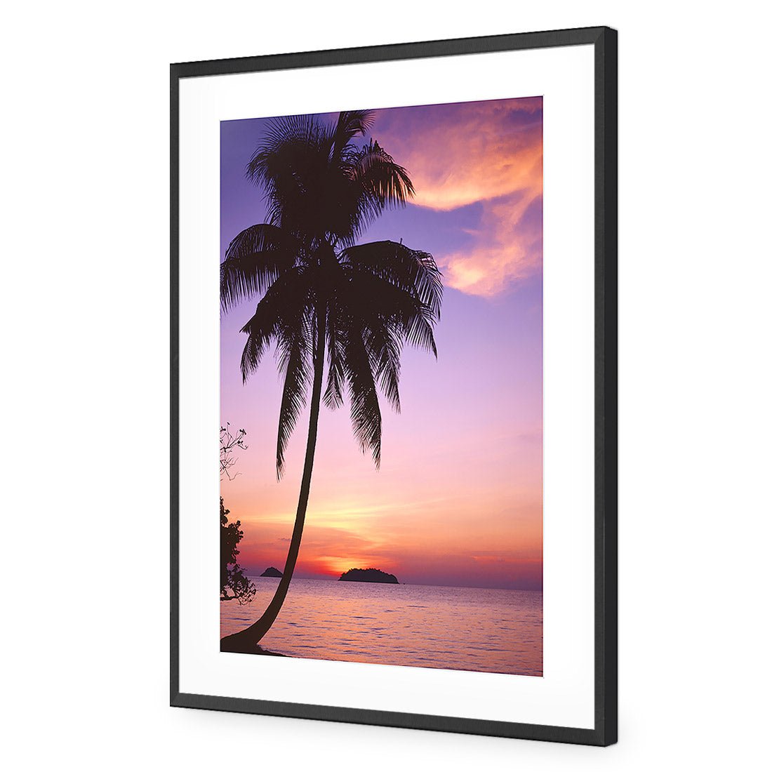 Phuket Palm - Wall Art Designs - 605_AR_V WAD_CP - MPY - 260 - M - S - S_45x30_NONE