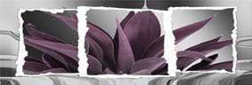 Plant in Window, Plum (Long) - Wall Art Designs - 305_DL_H WAD_CP - MPY - 260 - M - S - S_60x20_NONE